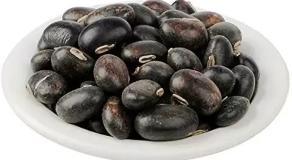 VELVET BEAN OR COWHAGE SEEDS