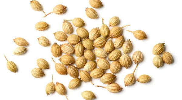 CORIANDER SEEDS