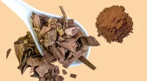 TERMINALIA ARJUNA BARK