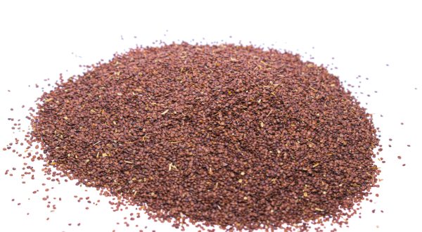 MARSH BARBEL SEEDS