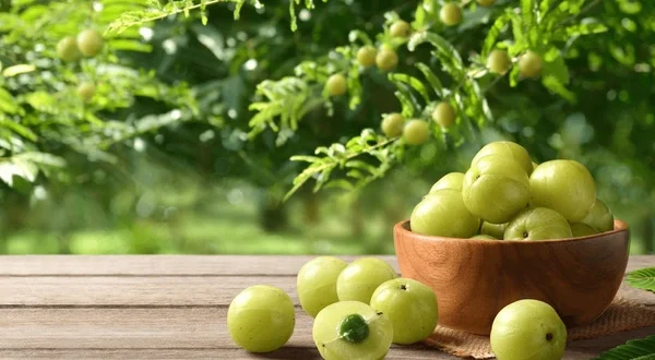 AMLA / INDIAN GOODEBERRY