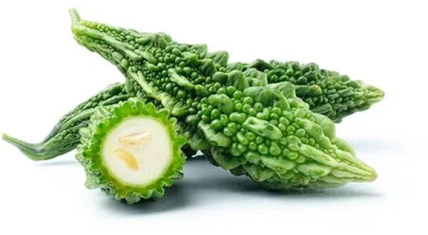 BITTER GOURD