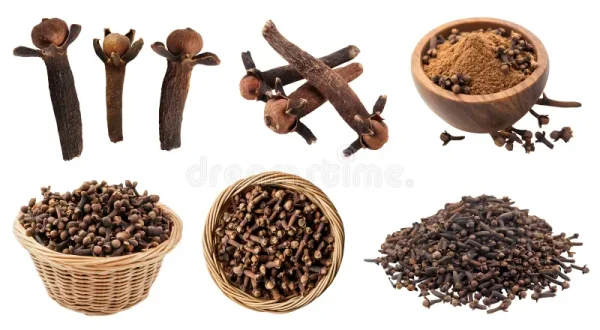 CLOVES