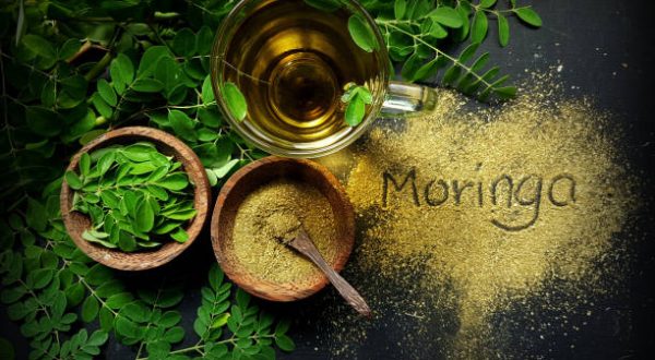 Moringa Oleifera tea with powder on table written moringa wording