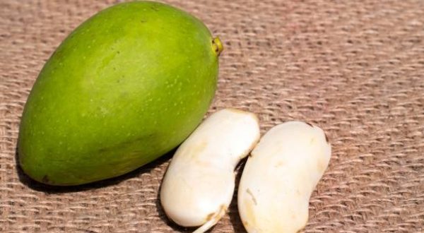 Closeup Photo of Raw Mango with Seed Isolated on Burlap Fabric Background in Horizontal Orientation. It Is Perfect for Wallpaper.