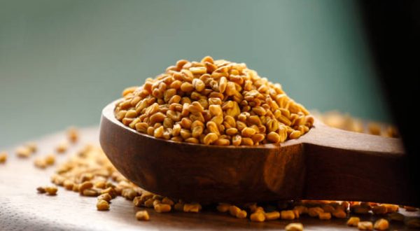 Fenugreek seeds in wooden spoon