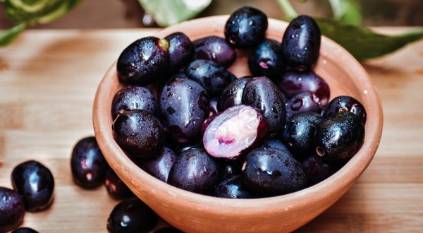 JAMUN FRUIT SEED