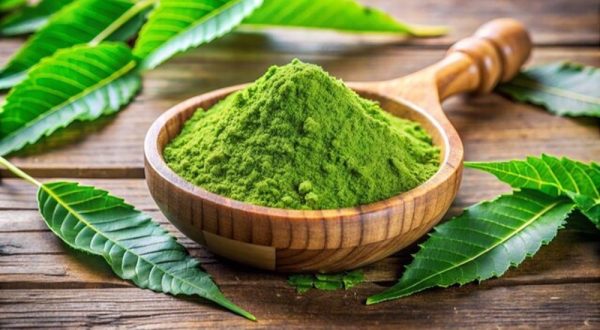 NEEM POWDER
